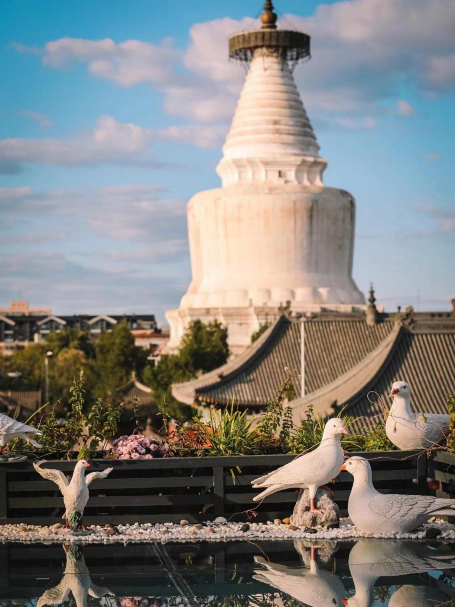 East Sacred Hotel ᴸᴱo---Foreign Accept---Tourism Service English-Speaking 丨 Near Tiananmen Forbidden City丨very Close To Metro Zhangzizhong And Beixinqiao 丨european Foot Ball English丨free Advance Tickets And Laundry Drying Service Coffee Snacks Beijing Eksteriør bilde